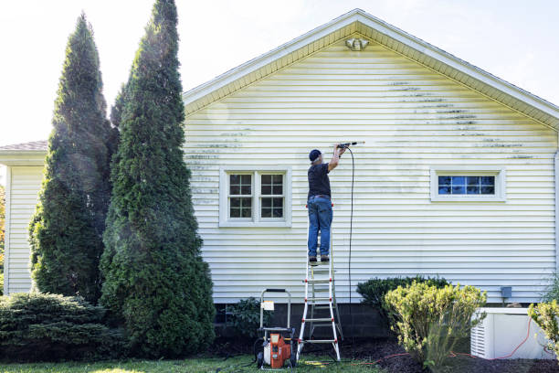 Reliable Horizon City, TX Pressure Washing Services Solutions